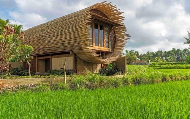 Beehouse Dijiwa Ubud - photo 17