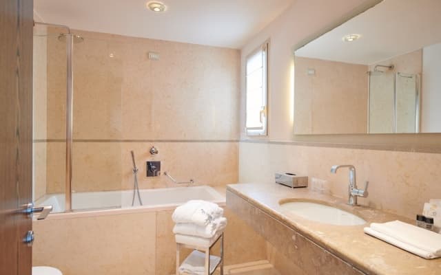 Hotel Plaza Venice - photo 3