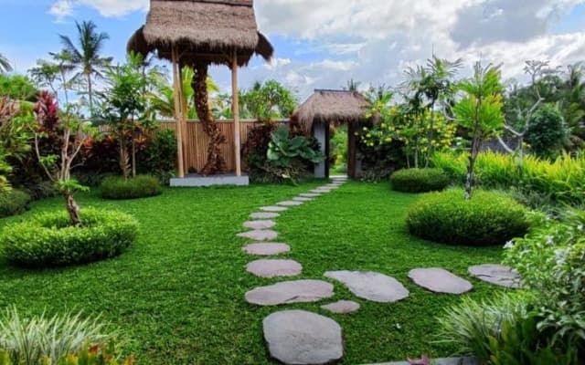 Green Coconut Cottage - photo 23