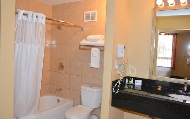 Grand Hotel Orlando at Universal Blvd - Shuttle to Theme Parks - photo 5