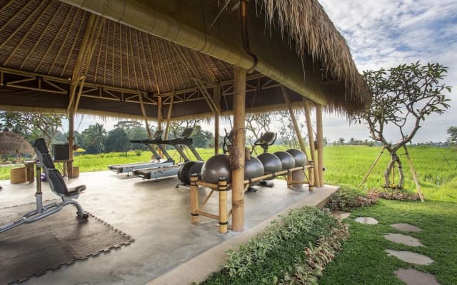 Visesa Ubud Resort - photo 2