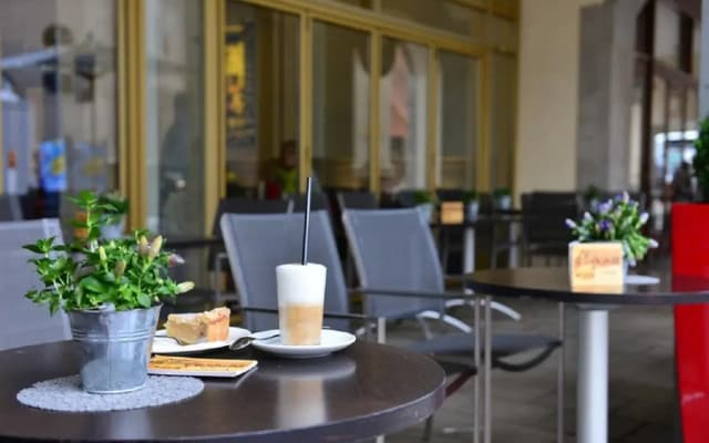 Hotel Torbrau - photo 2