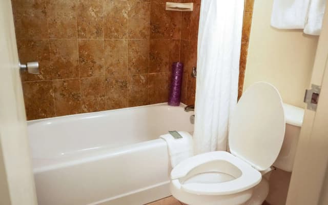 Rosen Inn Lake Buena Vista - photo 4