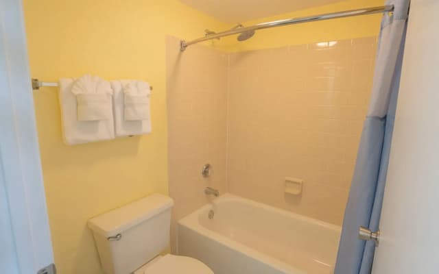 Blue Tree Resort at Lake Buena Vista - photo 1