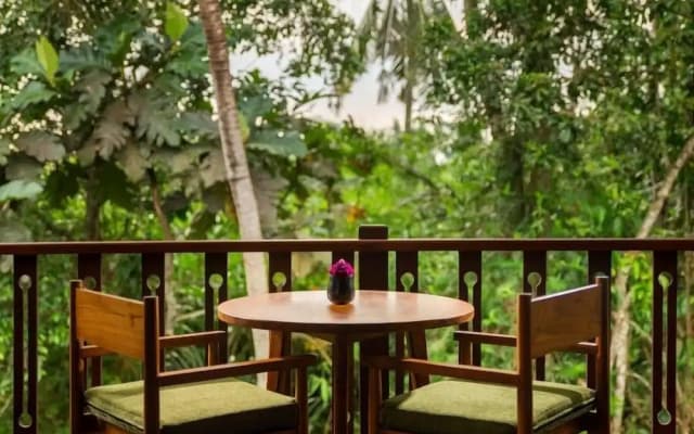 Beehouse Dijiwa Ubud - photo 7