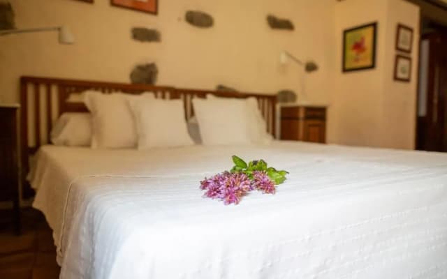 Hotel Rural las Calas - photo 8