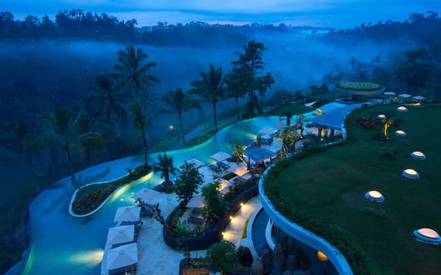 Padma Resort Ubud - photo 3