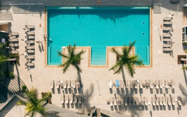 Marinell Collection Palm-Mar - photo 1