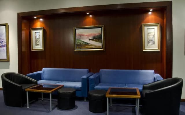 VIP Executive Zurique Hotel - photo 3