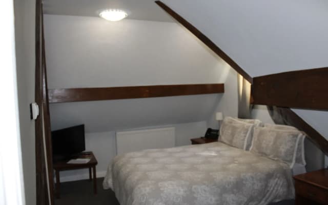 Rampant Lion Hotel - photo 1