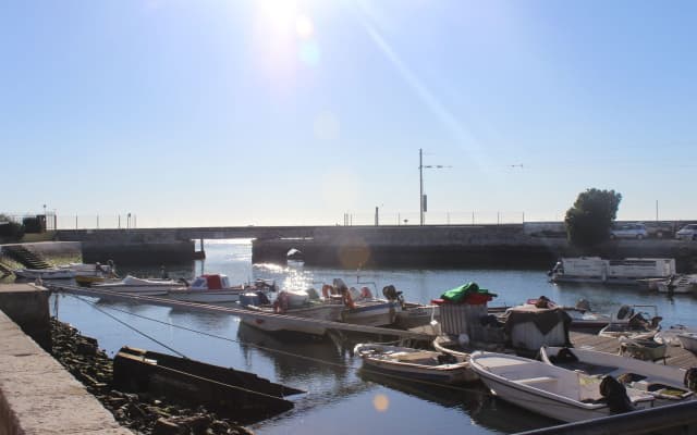 Made Inn Faro - photo 2