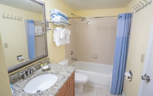 Blue Tree Resort at Lake Buena Vista - photo 2