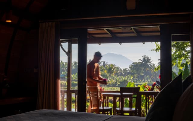 Beehouse Dijiwa Ubud - photo 3