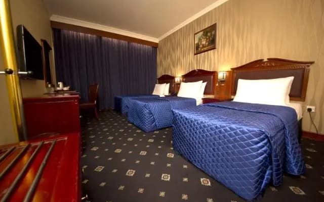 Mount Royal Hotel - photo 16