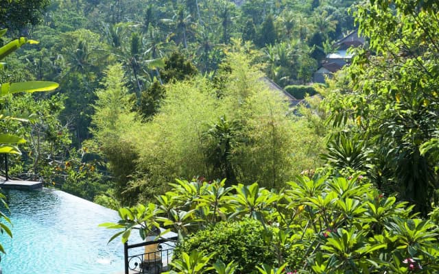 Ubud Dedari Villas - photo 4