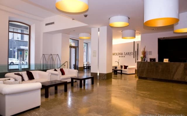 Molina Lario Hotel - photo 5