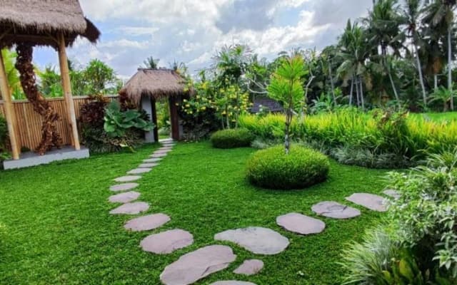 Green Coconut Cottage - photo 22