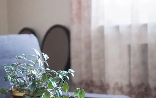 La Maison Charentonneau - photo 7