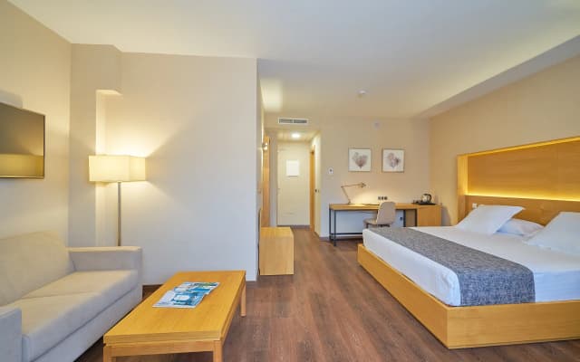 Hotel Guadalmedina - photo 2