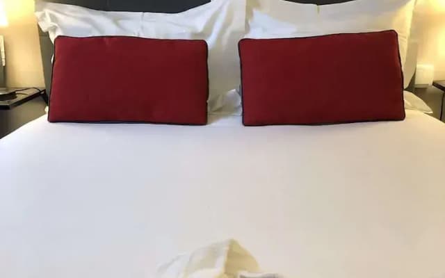 Hôtel le Dauphin - photo 10