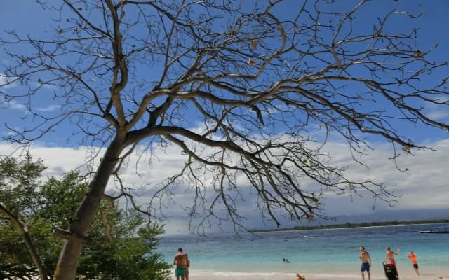Lombok Holiday Hotel - photo 5