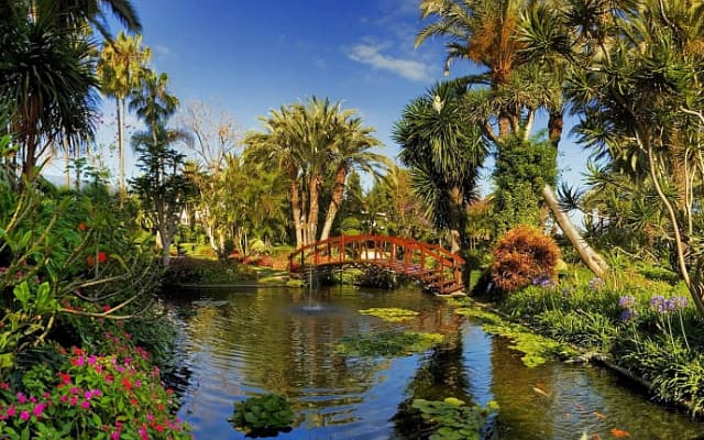 Hotel Botanico & The Oriental Spa Garden - photo 3
