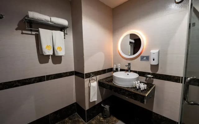 Rizq Palace Hotel - photo 9