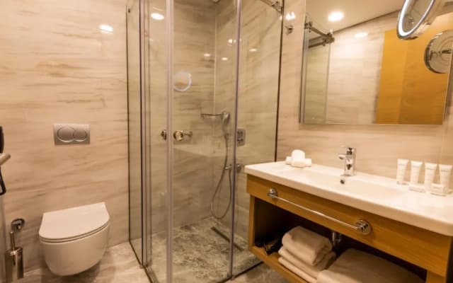 Radisson Hotel Istanbul Harbiye - photo 4