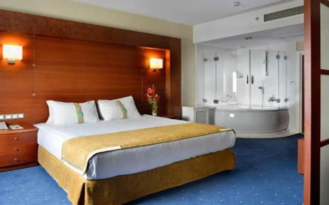 Holiday Inn Istanbul City by IHG - photo 4