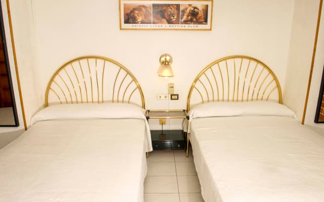 Hotel Atlantico Centro - photo 3