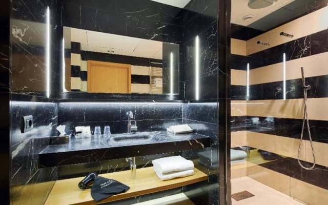 Hotel Plaza Venice - photo 3