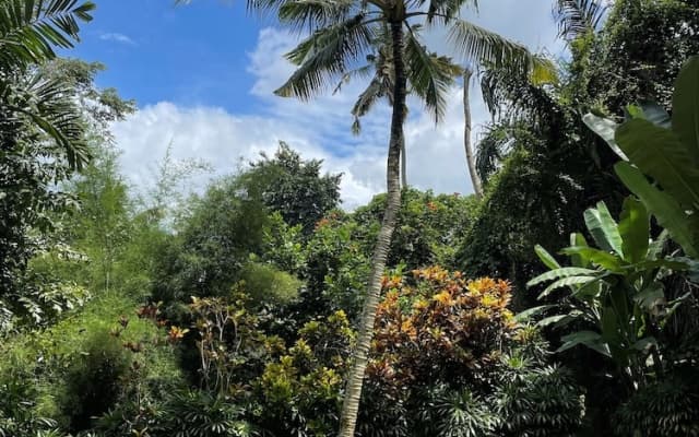 Villa Alamanda - photo 10