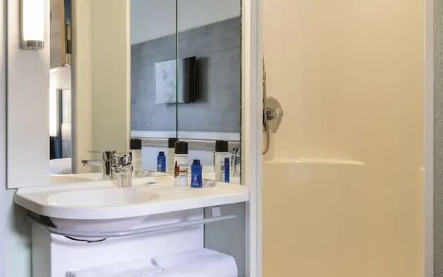 ibis budget Saint Maurice Hotel - photo 6