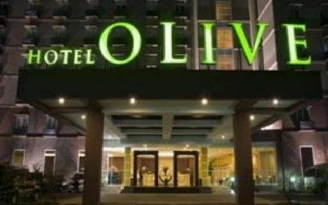 Hotel Olive - photo 5