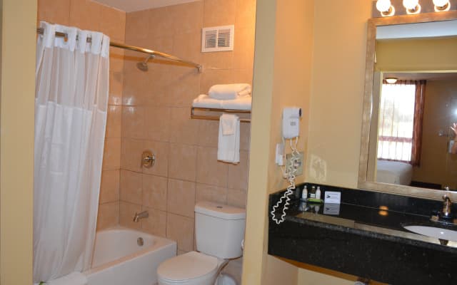 Grand Hotel Orlando at Universal Blvd - Shuttle to Theme Parks - photo 9