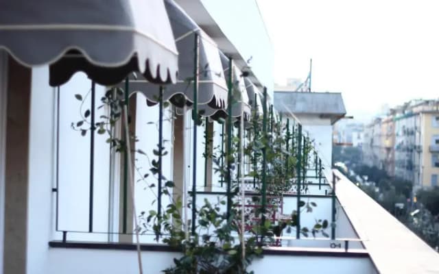 Stelle Hotel The Businest - photo 5