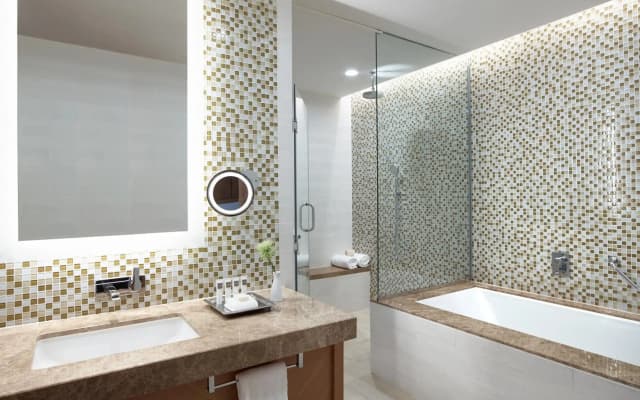 Arabian Park Dubai, an Edge by Rotana Hotel - photo 4