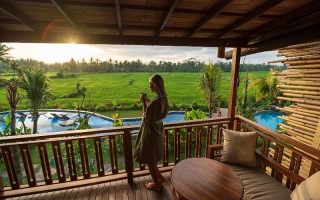 Beehouse Dijiwa Ubud - photo 5