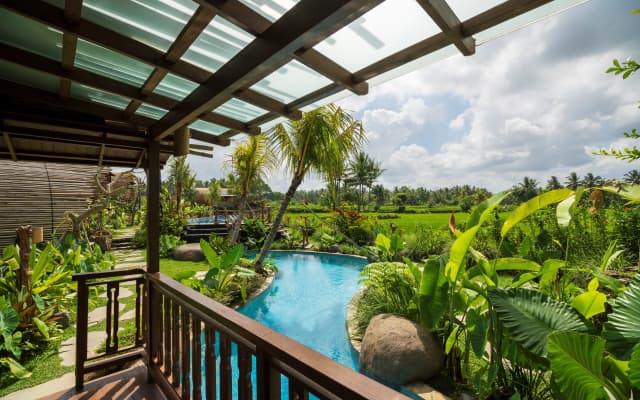 Beehouse Dijiwa Ubud - photo 6