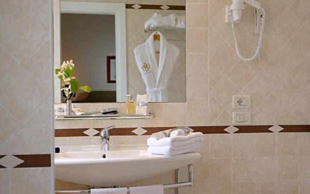 Hotel Plaza Venice - photo 4