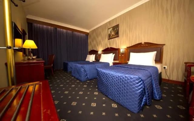 Mount Royal Hotel - photo 19