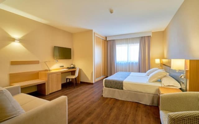 Hotel Guadalmedina - photo 10