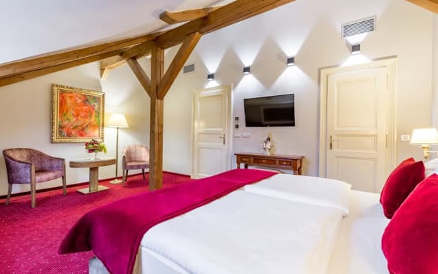 Hotel Caruso Old Town Prague - photo 1