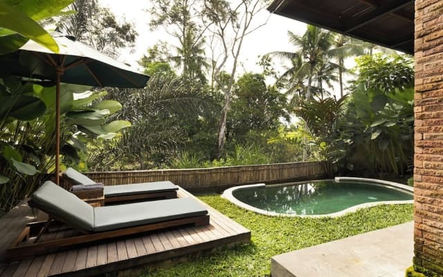 Beehouse Dijiwa Ubud - photo 9