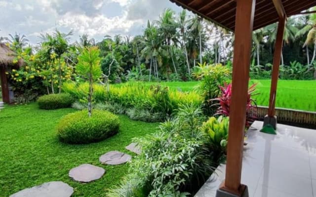 Green Coconut Cottage - photo 19