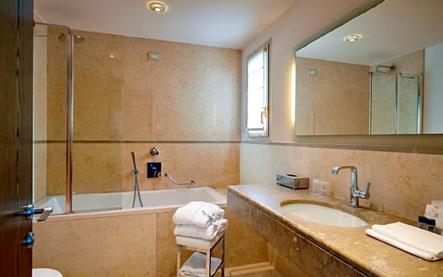 Hotel Plaza Venice - photo 5
