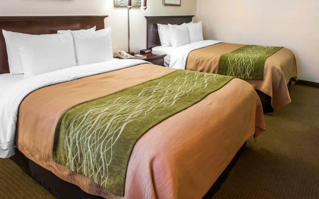 Comfort Inn Las Vegas New Mexico - photo 5