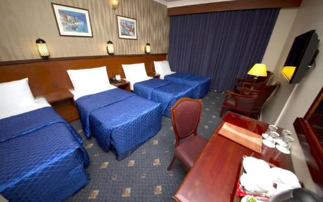 Mount Royal Hotel - photo 15