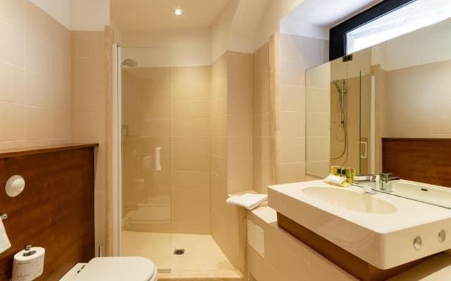 B&B Hotel Firenze Pitti Palace al Ponte Vecchio - photo 3