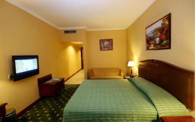 Mount Royal Hotel - photo 14